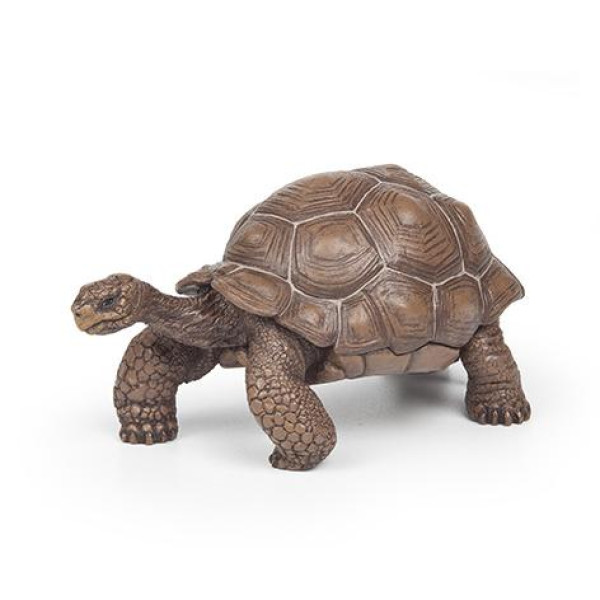 Papo - Tartaruga das Galápagos