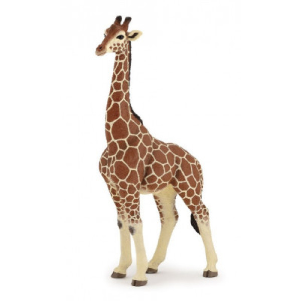 Papo - Girafa Macho