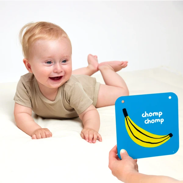 BP - HIGH CONTRAST BABY CARDS 6M(BAN76277) 1037242.2.webp